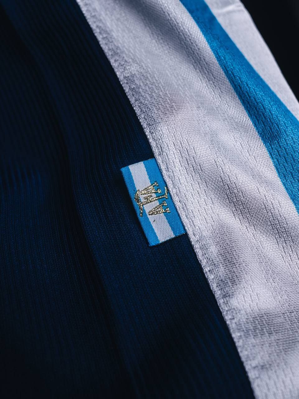 Argentine Jersey