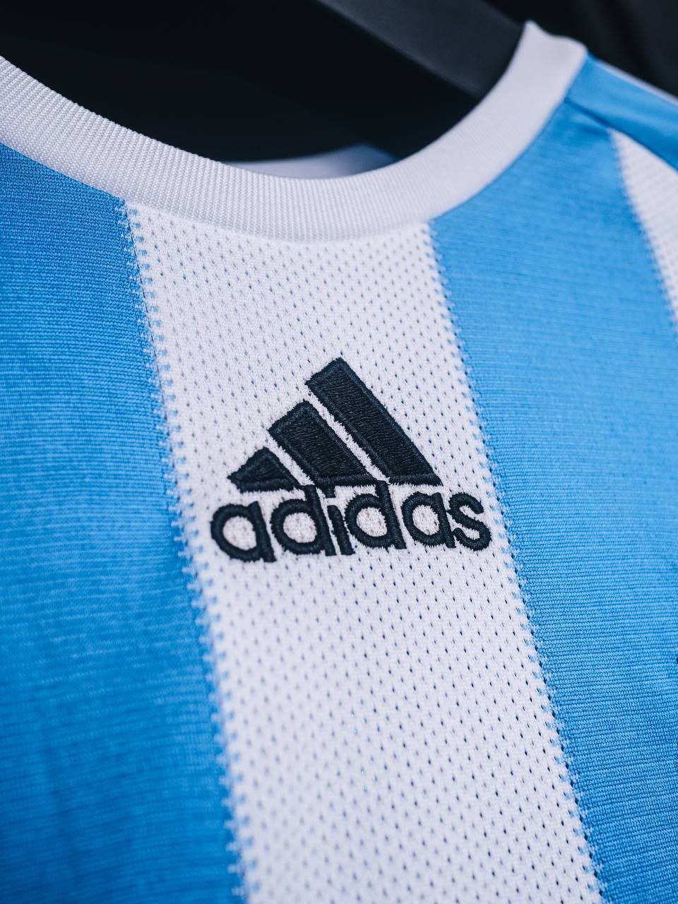 Argentine Jersey